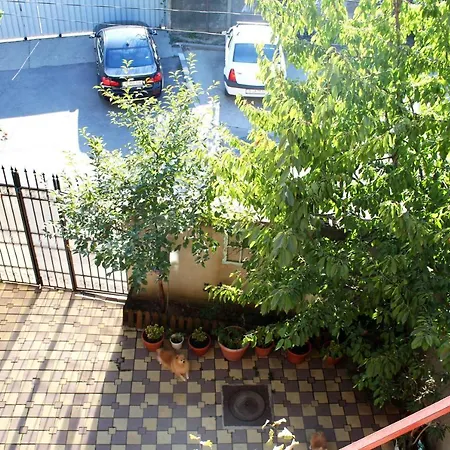 Collosal With Garden * Бухарест