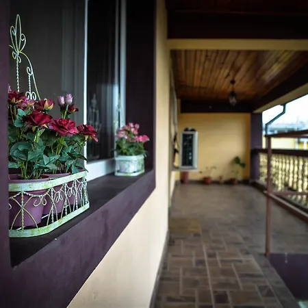 Collosal With Garden