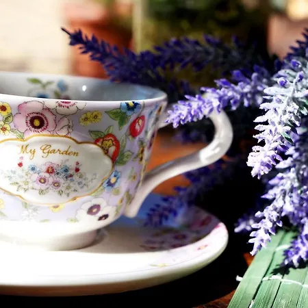 Collosal With Garden