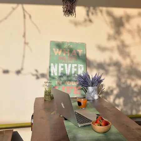 Collosal With Garden *