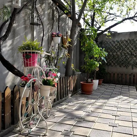 Collosal With Garden Daire *