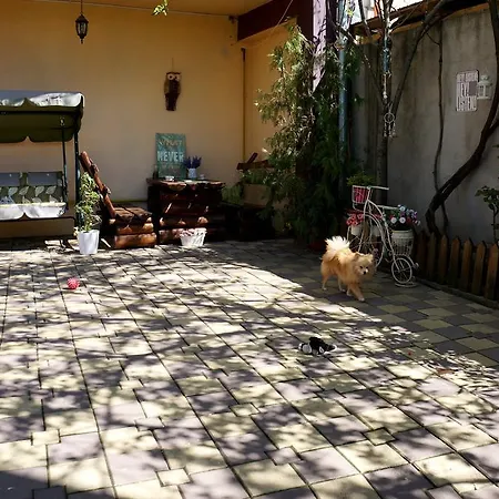 Apartament Collosal With Garden *