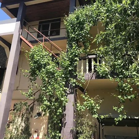 Collosal With Garden Bucureşti