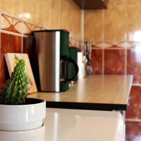 Collosal With Garden Apartmán Bukurešť