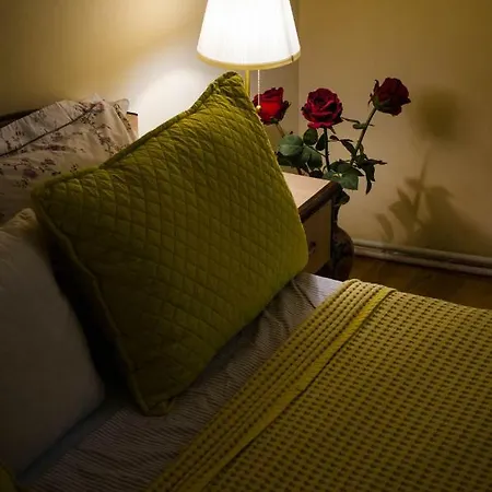 Apartament Collosal With Garden *