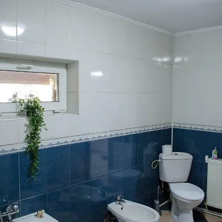 Apartament Collosal With Garden