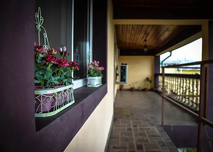 Collosal With Garden