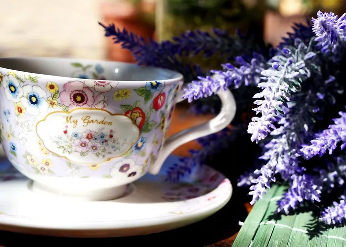 Collosal With Garden