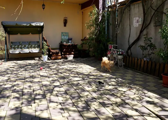 Apartman Collosal With Garden *