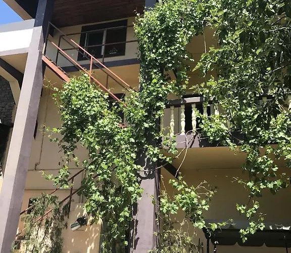 Collosal With Garden Bukarest