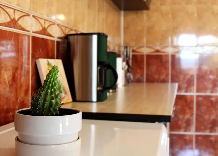 Collosal With Garden Apartman Bukarest