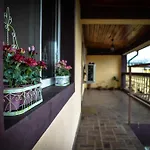 Collosal With Garden