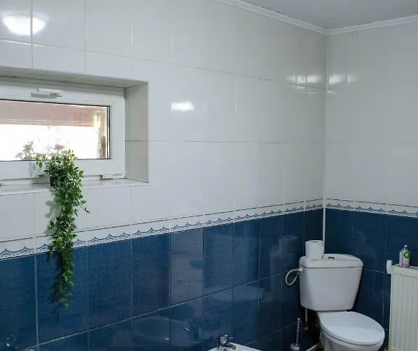 Appartement Collosal With Garden